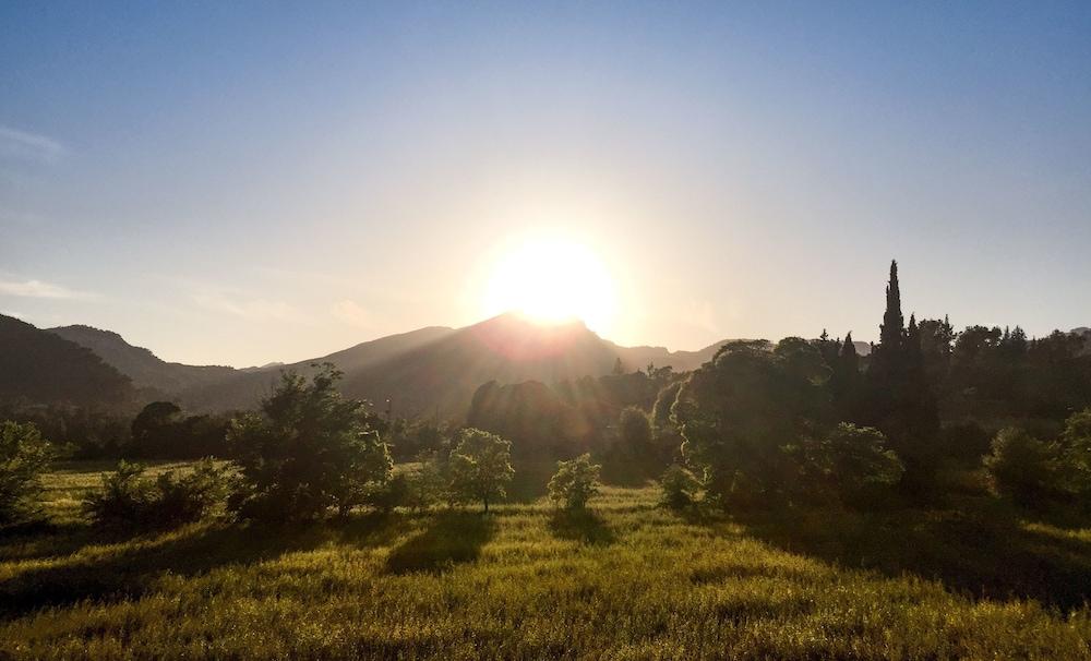 Farm stay Son Pont Puigpunyent (Mallorca)