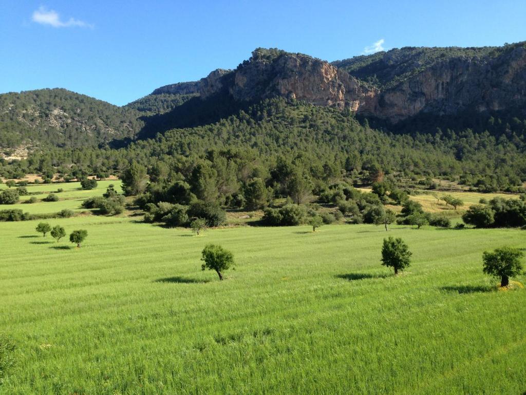 Bauernhof Son Pont Puigpunyent (Mallorca)