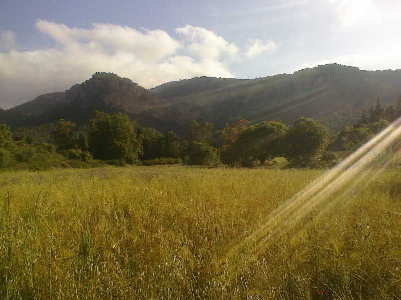 Son Pont Farm stay *